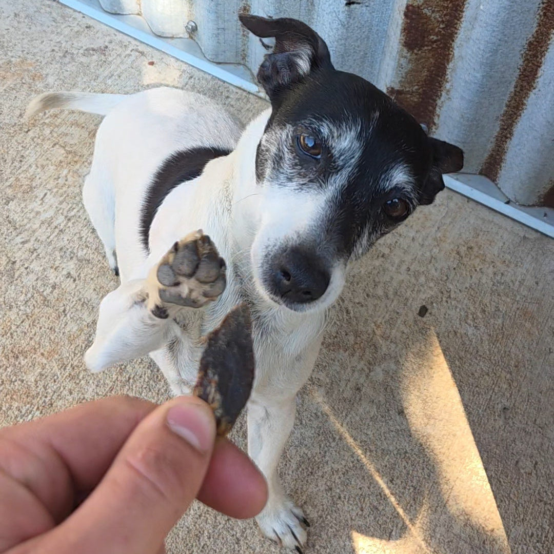 Pet's Jerky