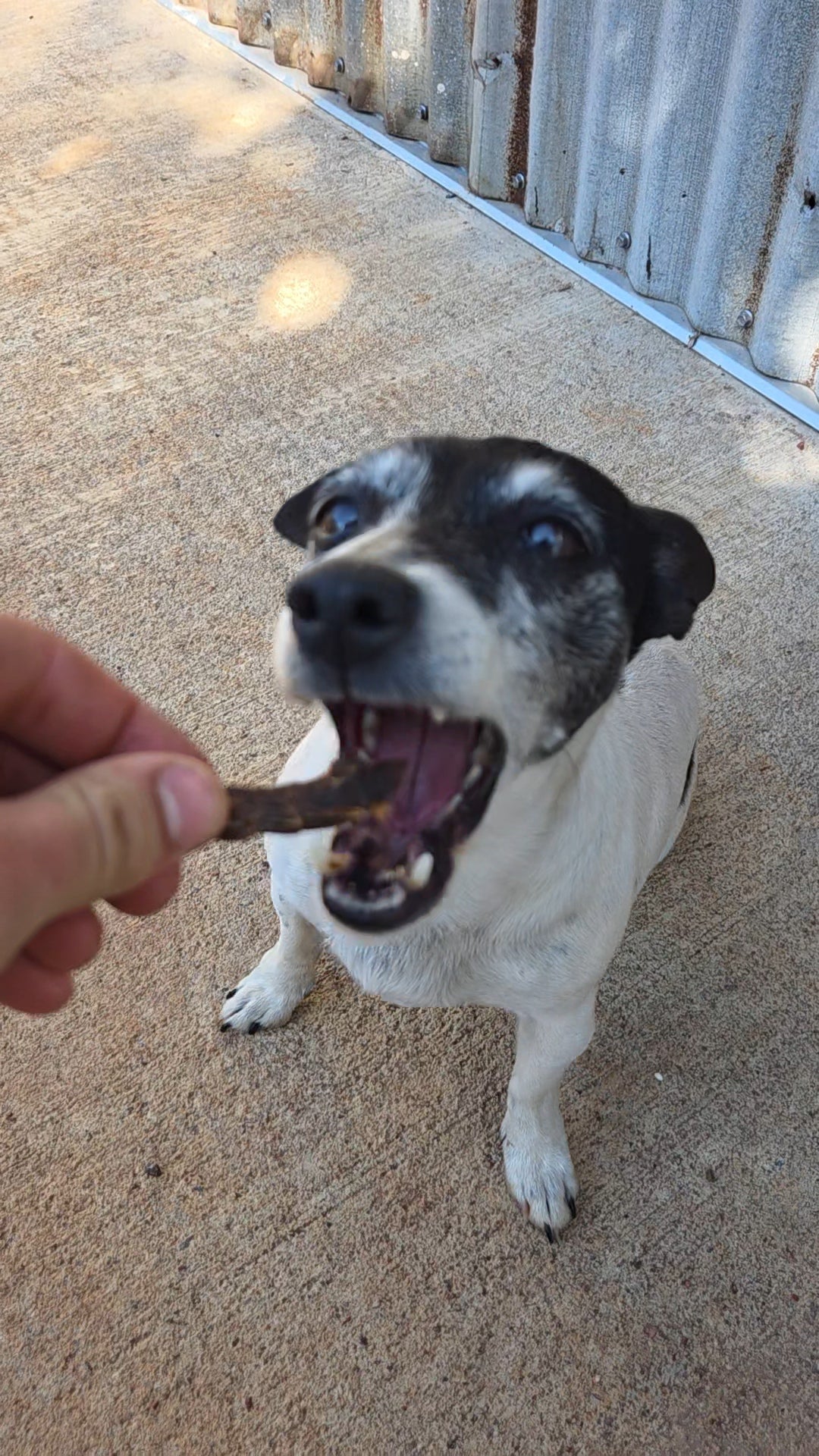 Pet's Jerky